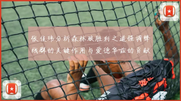 张佳玮分析森林狼胜利之道强调锋线群的关键作用与爱德华兹的贡献