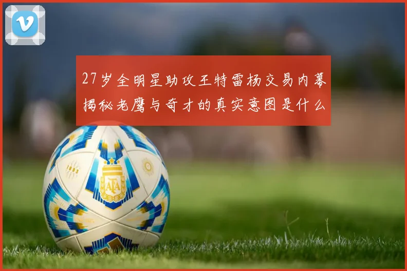 27岁全明星助攻王特雷杨交易内幕揭秘老鹰与奇才的真实意图是什么